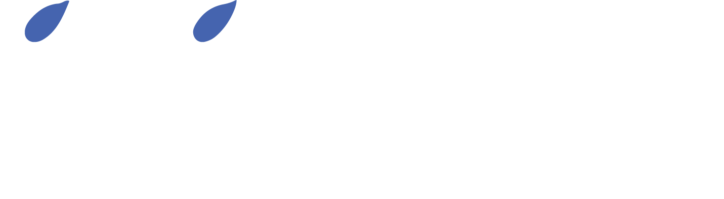 Asset-11-1.png